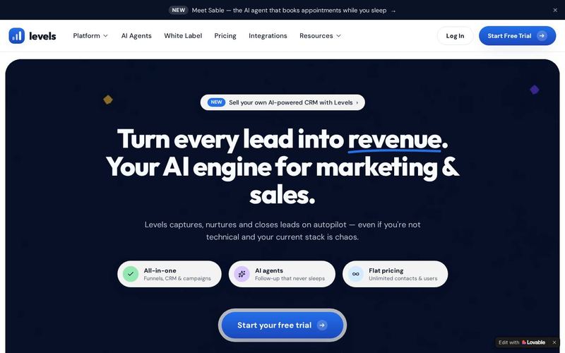 Levels Saas template preview
