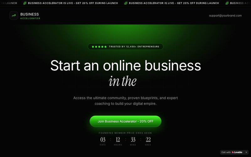 Business Accelerator template preview